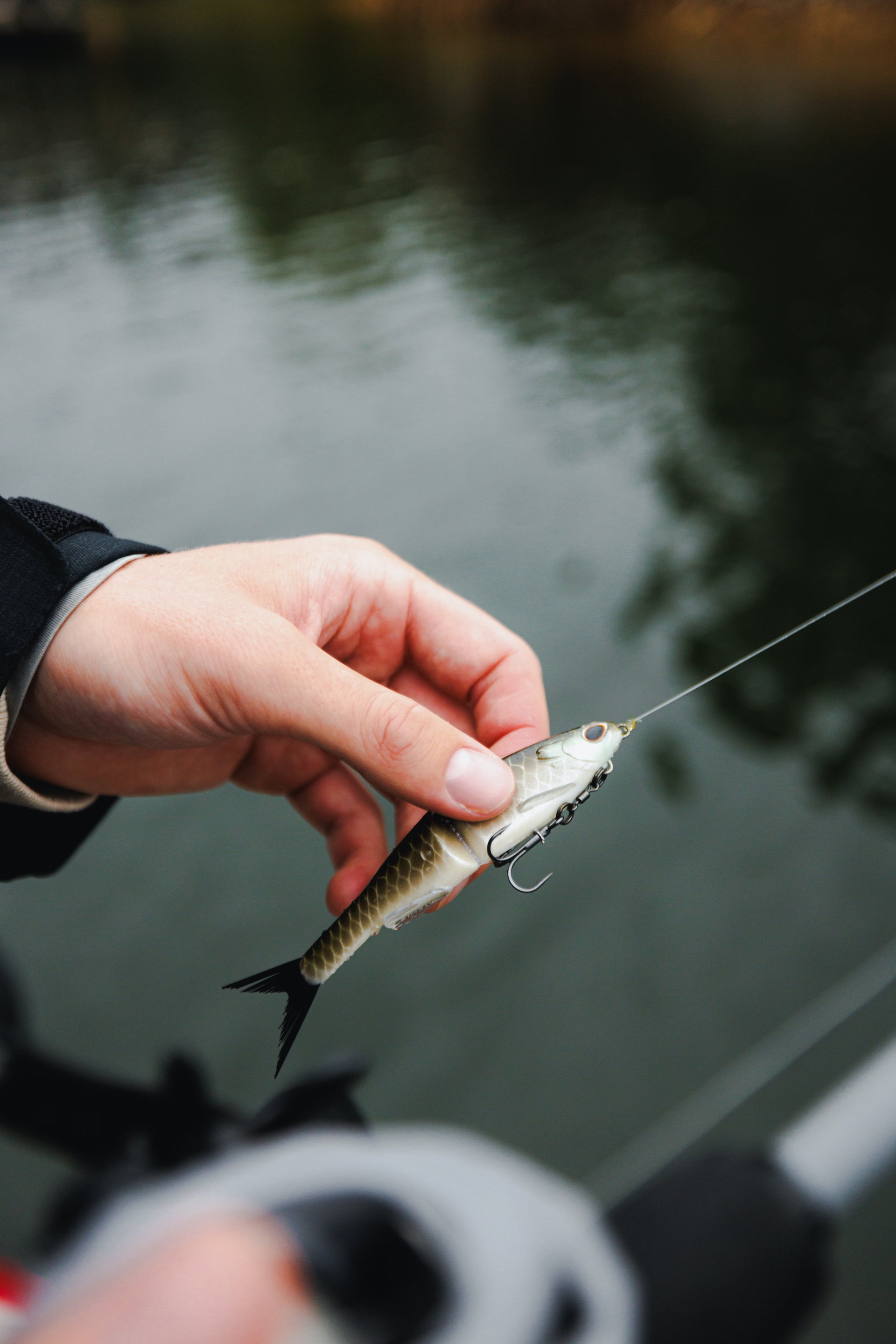 Hand holding bait
