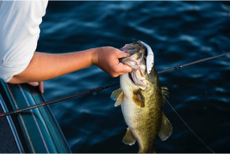 Child's hand holding a fish by the mouth