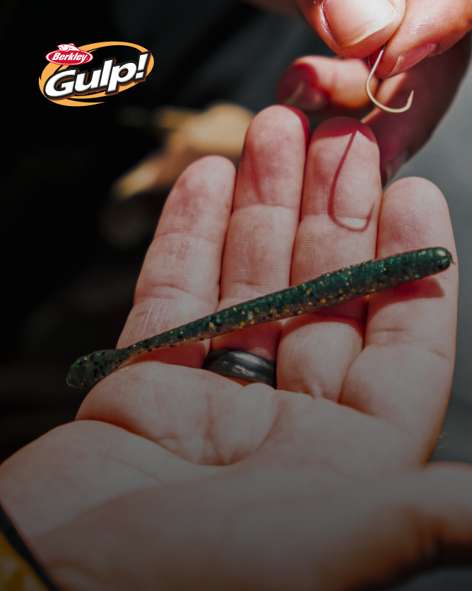 Hand holding Gulp bait